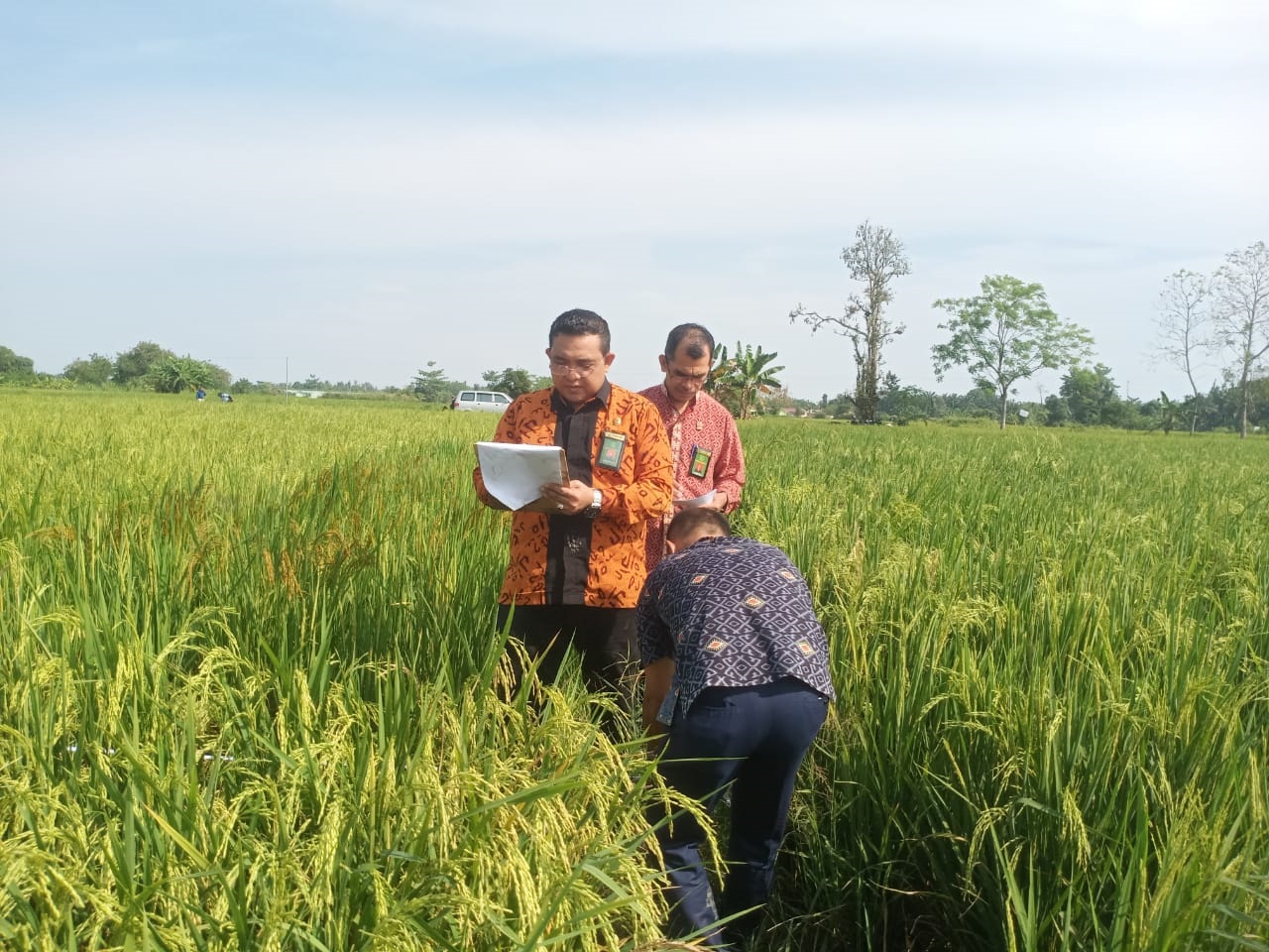 WhatsApp Image 2025 02 07 at 111007 AM 1